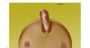 Jim O´Rourke