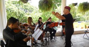Musicum