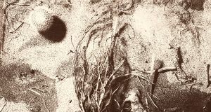 David Sylvian