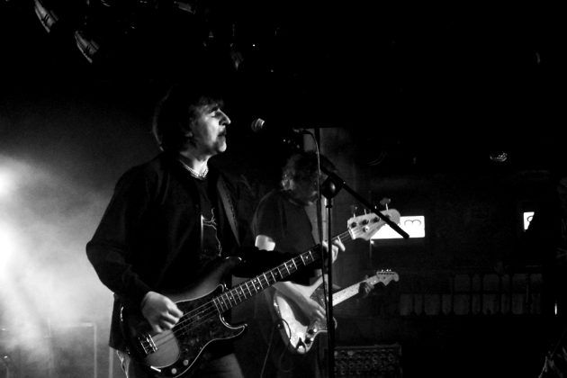 The Chameleons