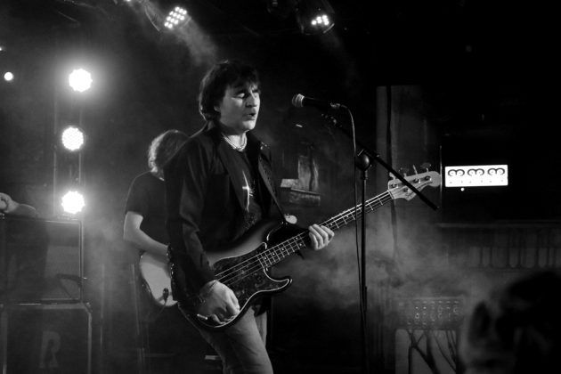 The Chameleons