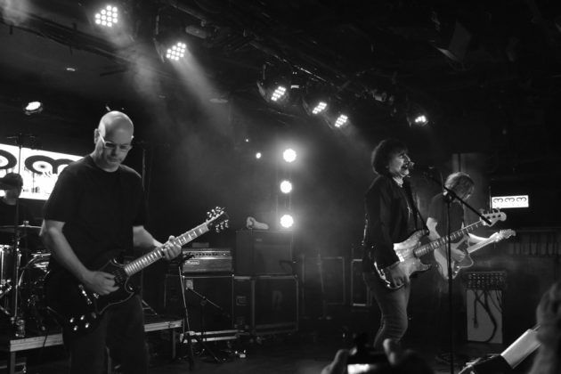 The Chameleons