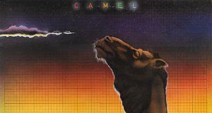 Camel
