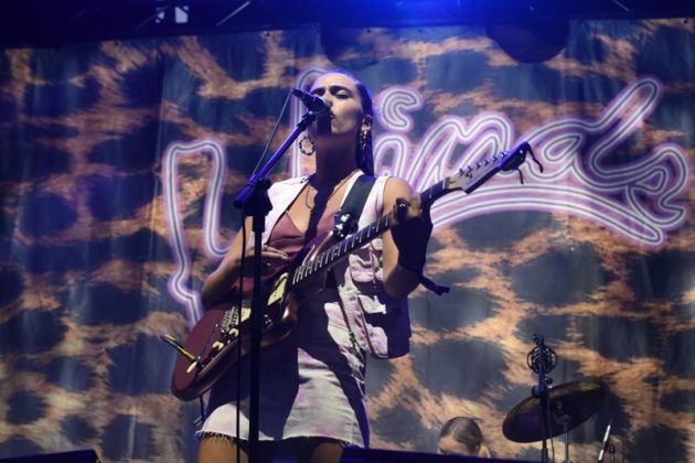 Festival Tomavistas 2019