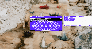 Warp