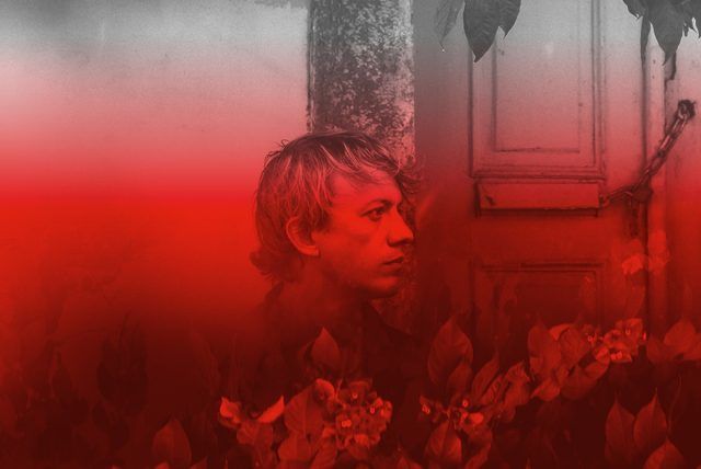 Steve Gunn
