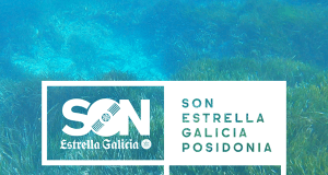 Posidonia 2020