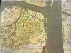 John Lennon Plastic Ono Band