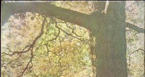 John Lennon Plastic Ono Band