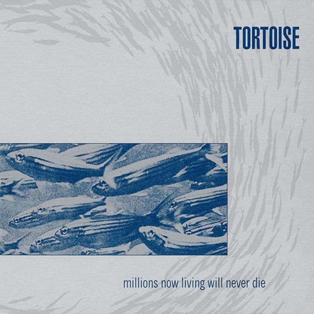 Tortoise Millions Now Living Will Never Die Tortoise Millions Now Living Will Never Die