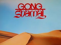 Shamal: el atractivo disco transicional de Gong Gong Shamal