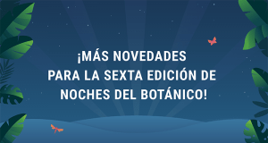 Noches del Botánico