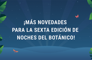 Noches del Botánico anuncia nuevas confirmaciones para su sexta edición Noches del Botánico