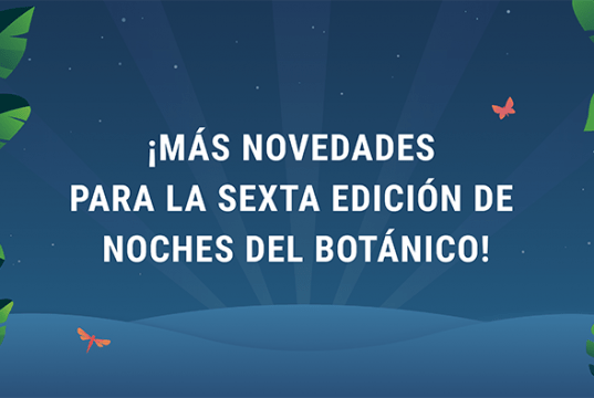 Noches del Botánico