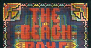 The Beach Boys Love You