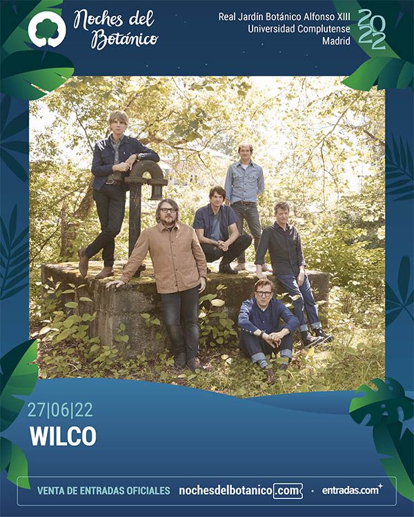 WILCO FEED baja wilco