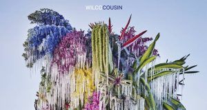 Wilco Cousin