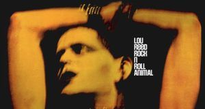 Lou Reed Rock n Roll