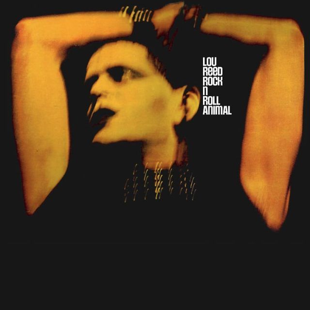 Lou Reed Rock n Roll Animal Lou Reed Rock n Roll