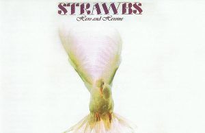 Hero and Heroine: el gran pináculo sinfónico de Strawbs Strawbs Hero and Heroine