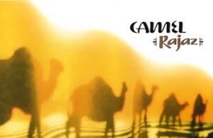 Rajaz de Camel: el sucesor espiritual de Mirage Camel Rajaz