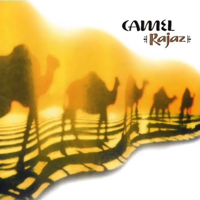 Camel Rajaz Camel Rajaz