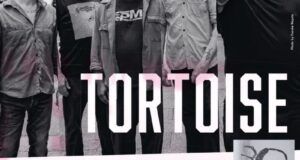 Tortoise en España
